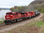 CP 7007